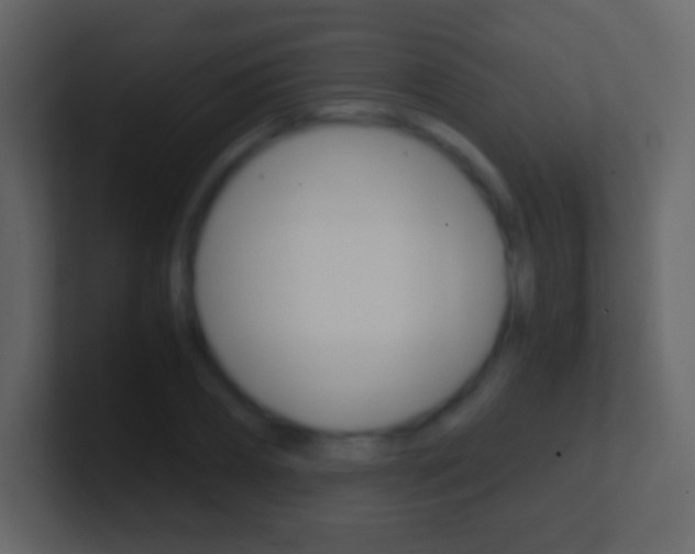 X0000101460882200807071130