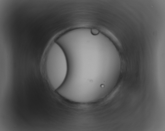 X0000101460883200807071130