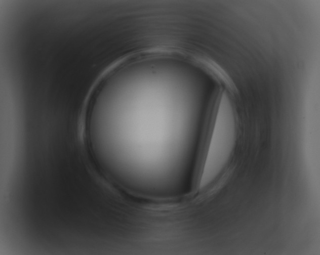 X0000101460884200807071130