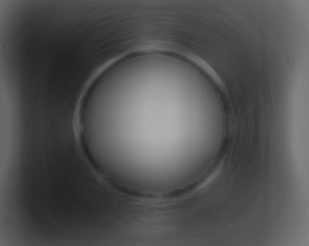X0000101460885200807071130