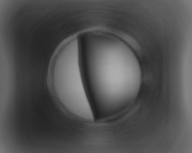 X0000101460888200807071130