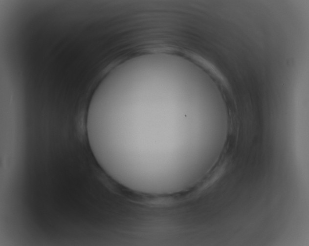 X0000101460889200807071130