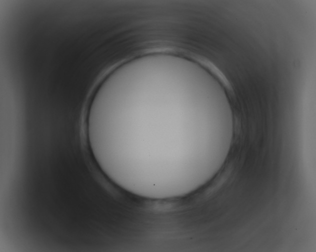 X0000101460890200807071130