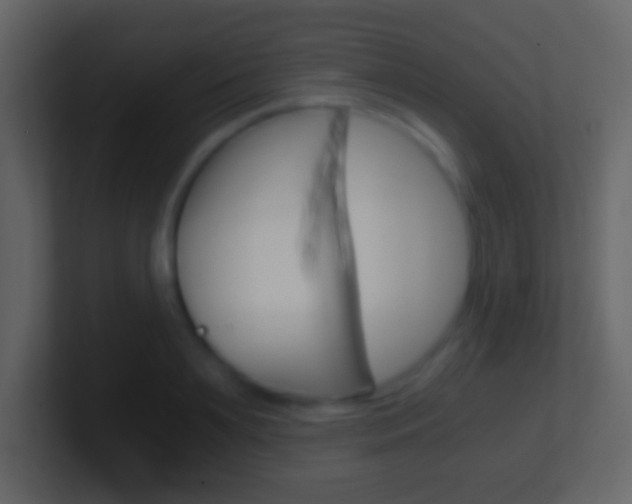 X0000101460891200807071130