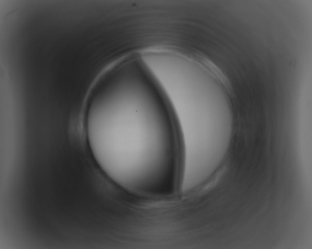 X0000101460892200807071130