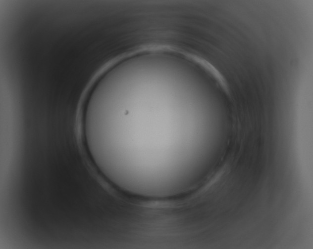 X0000101460894200807071130