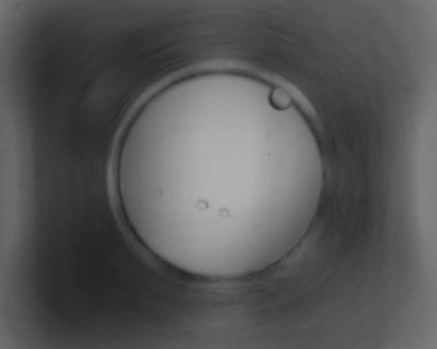 X0000101460895200807071130