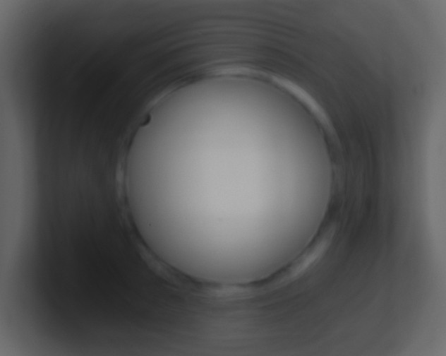 X0000101460897200807071130