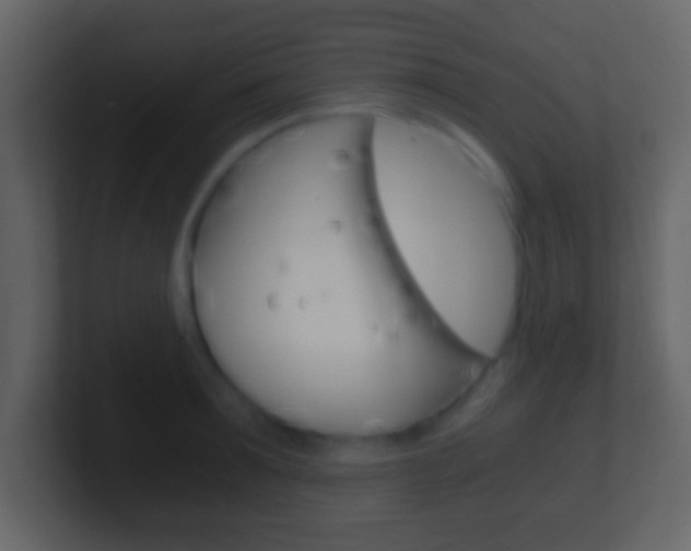 X0000101460899200807071130
