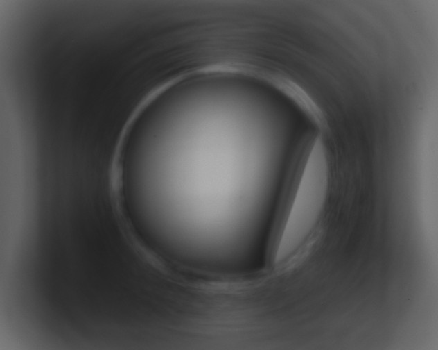 X0000101460900200807071130