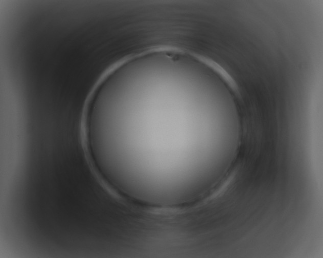 X0000101460902200807071129