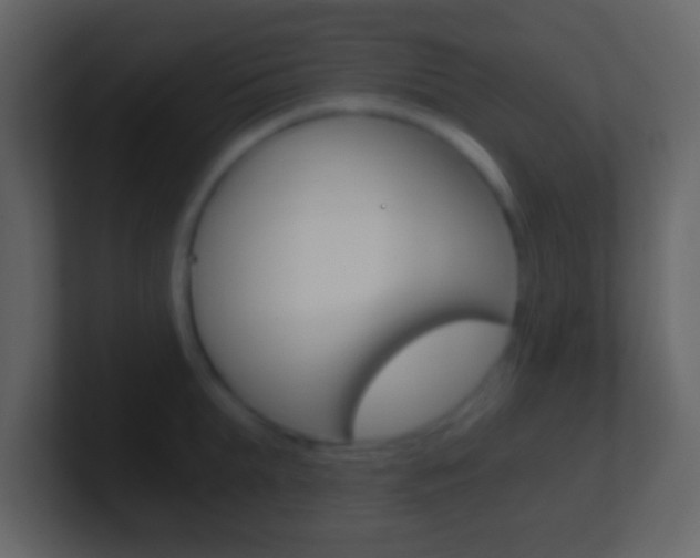 X0000101460903200807071129