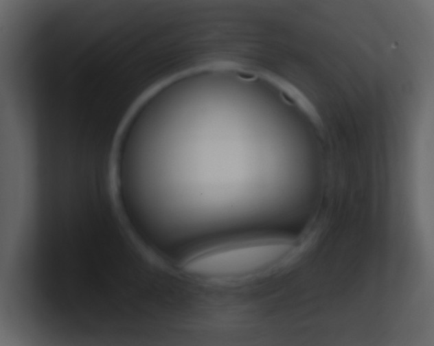 X0000101460904200807071129
