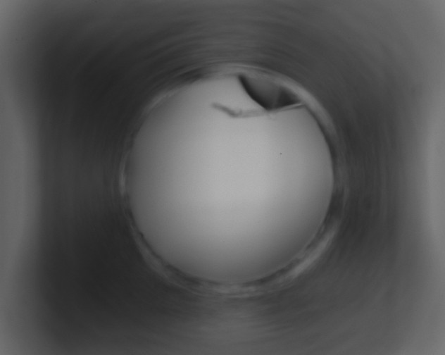 X0000101460905200807071129