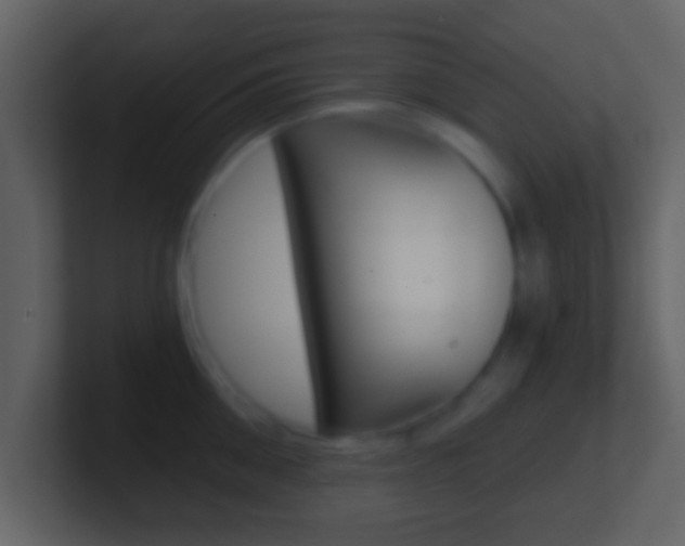 X0000101460906200807071129