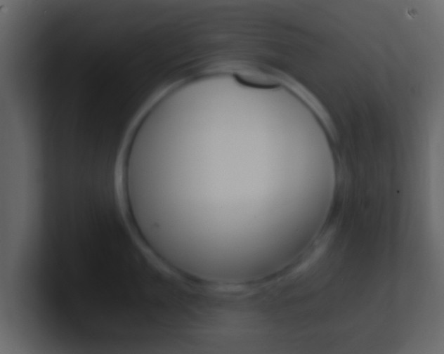 X0000101460909200807071129
