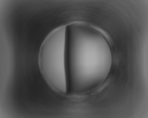 X0000101460910200807071129