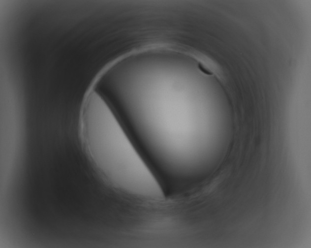 X0000101460912200807071129