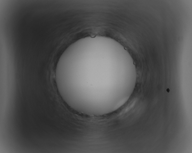 X0000101460913200807071129
