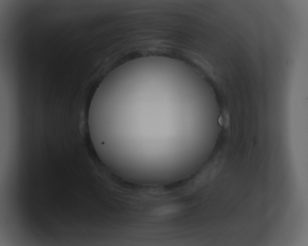 X0000101460915200807071129