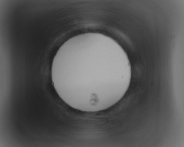 X0000101460918200807071129