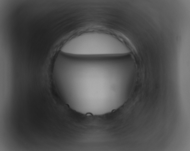 X0000101460919200807071129