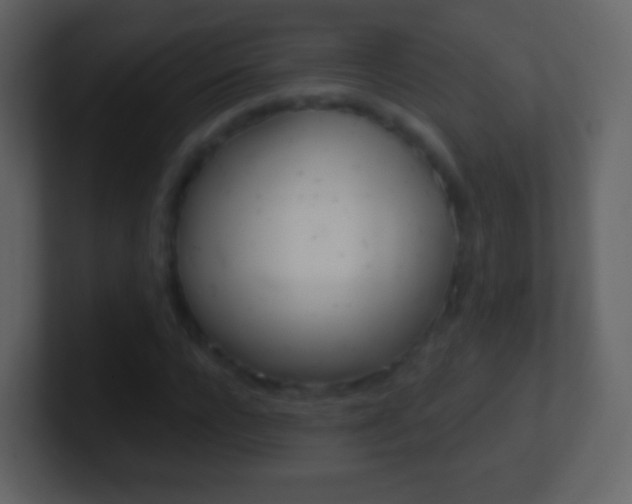 X0000101460920200807071129