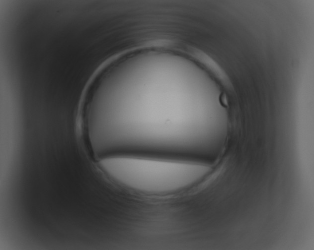 X0000101460924200807071129