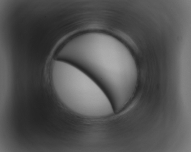 X0000101460926200807071129