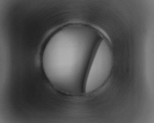 X0000101460927200807071129