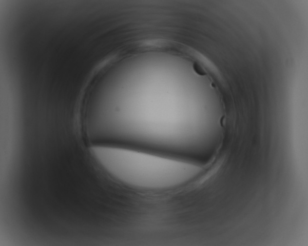 X0000101460930200807071129