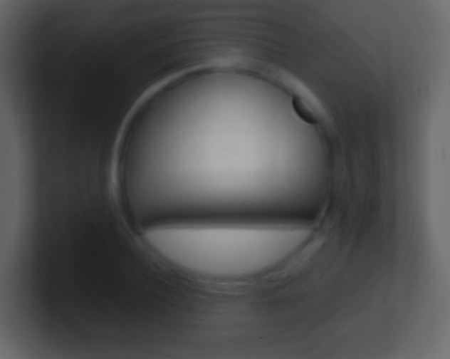 X0000101460932200807071129