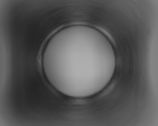 X0000101460933200807071129