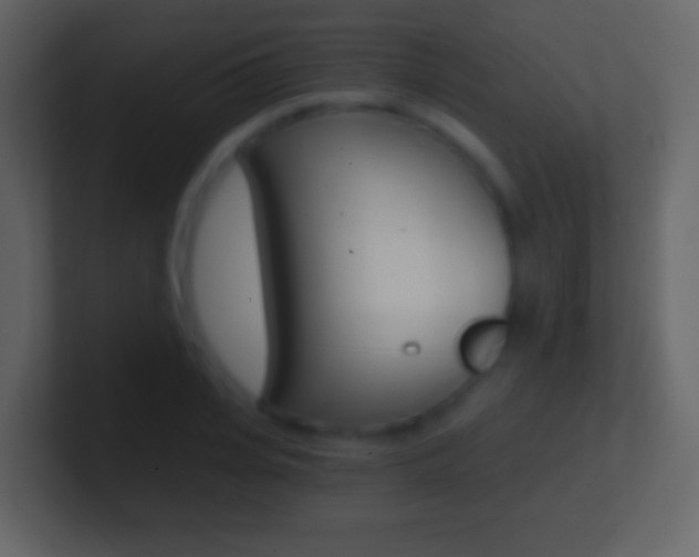 X0000101460935200807071129