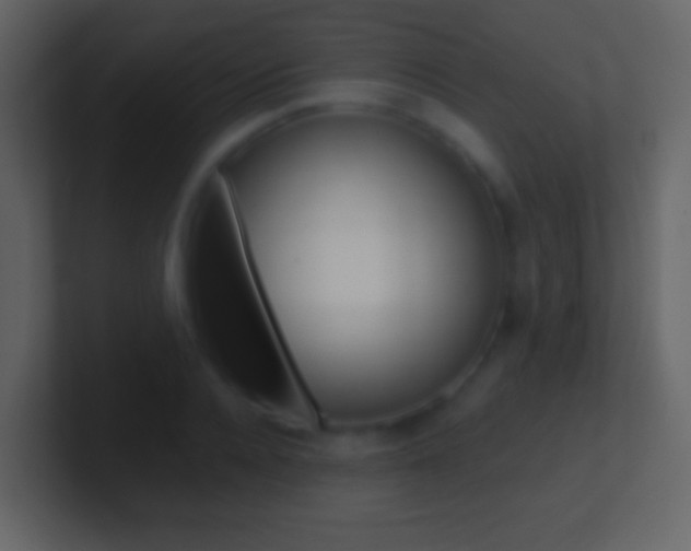 X0000101460936200807071129