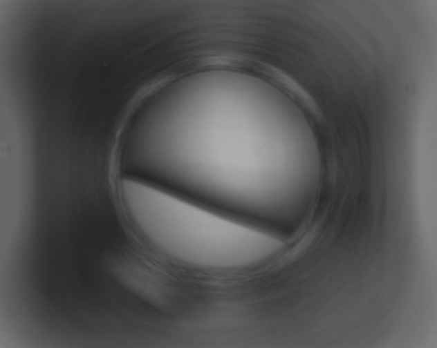 X0000101460938200807071129