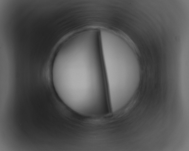 X0000101460939200807071129