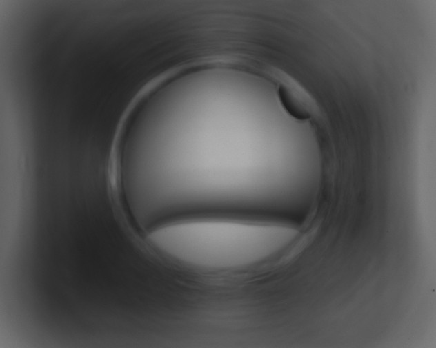X0000101460940200807071129