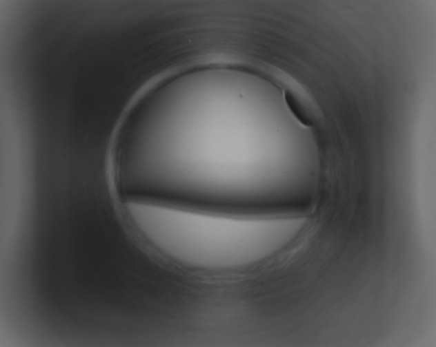 X0000101460942200807071129