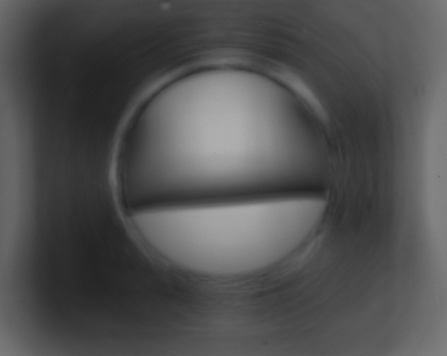 X0000101460943200807071129