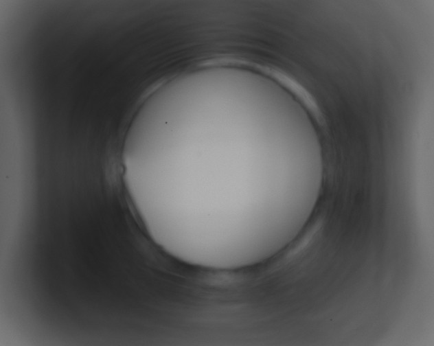 X0000101460945200807071129