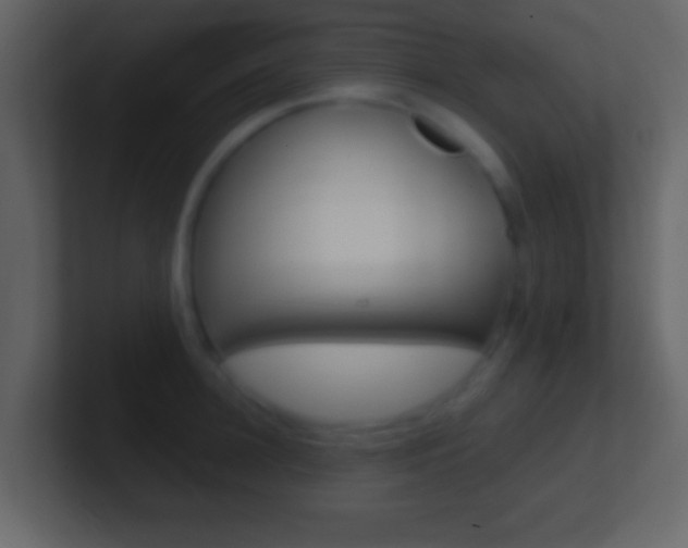 X0000101460948200807071129