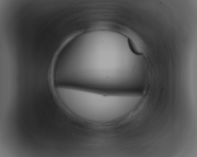 X0000101460949200807071129