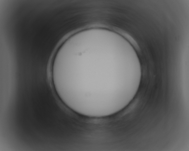 X0000101460950200807071129