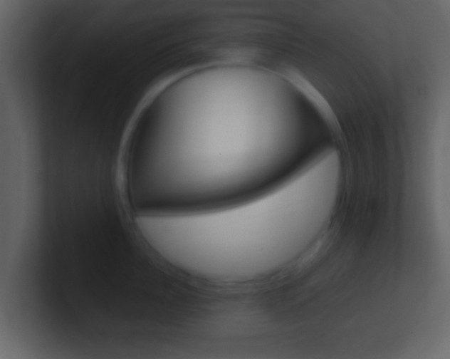 X0000101460956200807071129