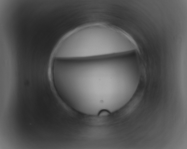 X0000101460959200807071129