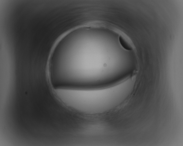 X0000101460960200807071129