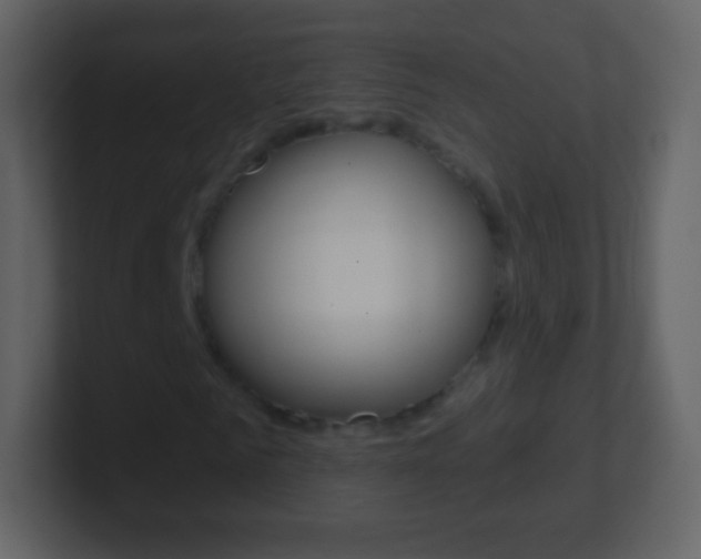 X0000101460961200807071129