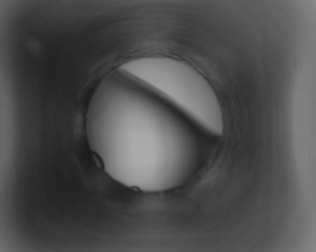 X0000101460964200807071129