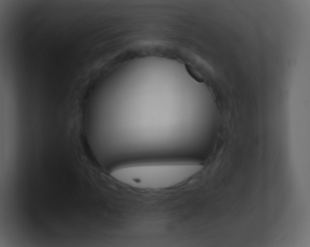 X0000101460965200807071128